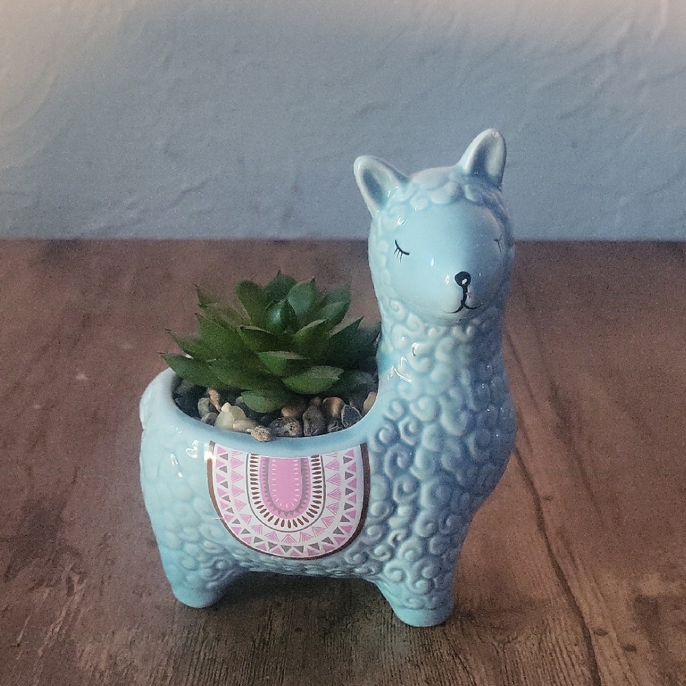 Blue Llama Planter with Succulent